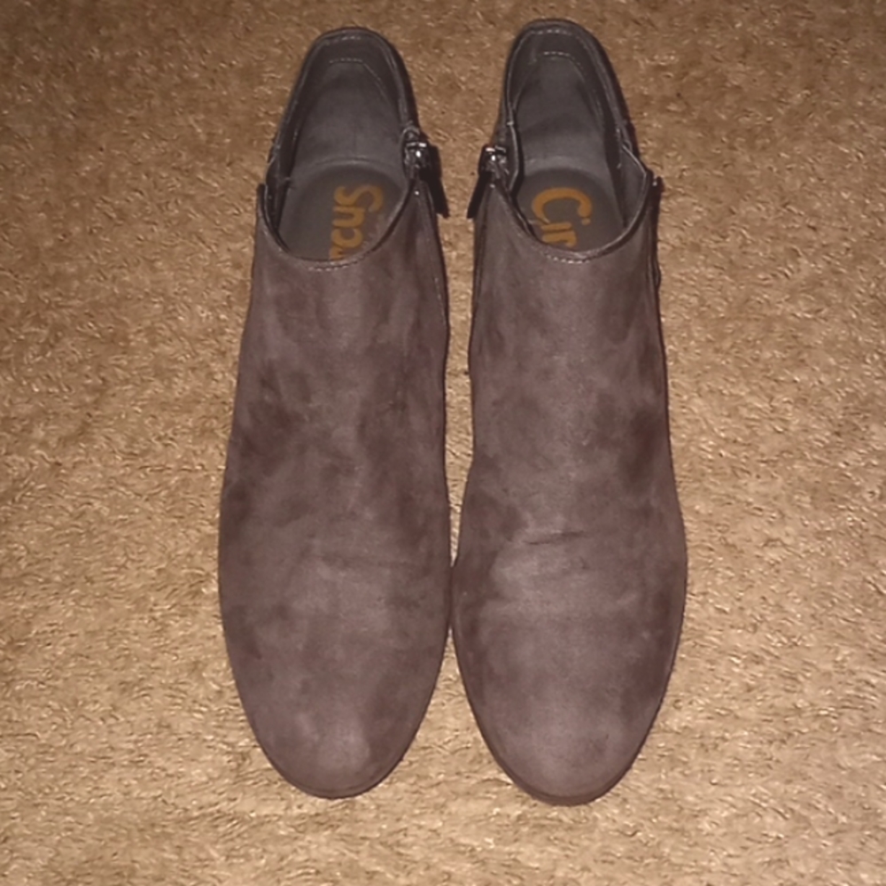 Sam Edelman by Circus grey/tan suade ankle booties